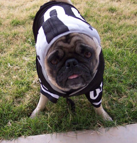 Футболен костюм Dog Gone Сладко от Lou's Doggie Boutique от 4 артикули (Фланелки, Панталони, Каска и Играчка топка) -