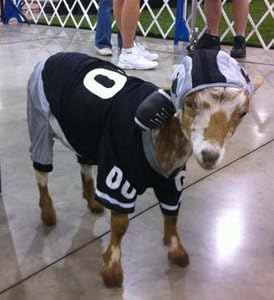 Футболен костюм Dog Gone Сладко от Lou's Doggie Boutique от 4 артикули (Фланелки, Панталони, Каска и Играчка топка)-S