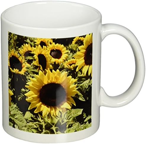 Керамична чаша със слънчогледи 3dRose, 11 Грама