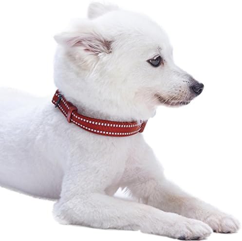 Blueberry Пет Essentials Безопасен и Удобен Отразяваща Регулируем Нашийник за кучета с дължина 3 М - Марсала Червен,